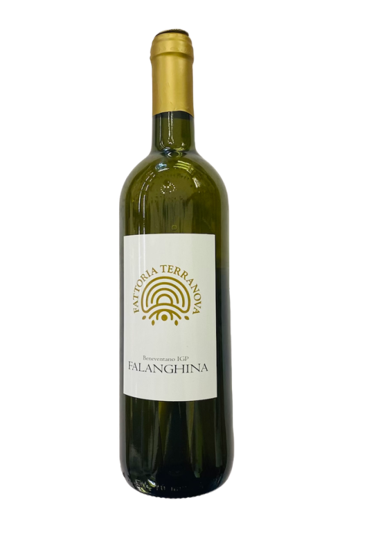 Vino bianco Falanghina