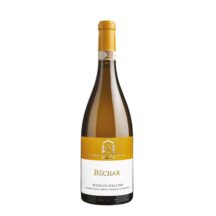 "Béchar" White wine Fiano Docg Caggiano
