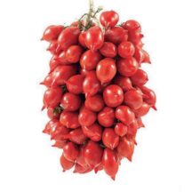 Pomodorini Piennolo del Vesuvio (grappolo da circa 2Kg) (SHIPPING ONLY TO ITALY)